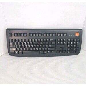 Logitech Deluxe 250 Wired PS/2 Keyboard Y-SAF76 820-000935 Black Tested Works